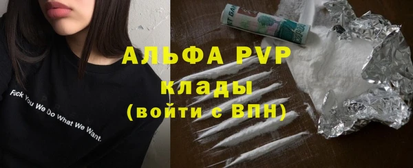 ешки Алексин