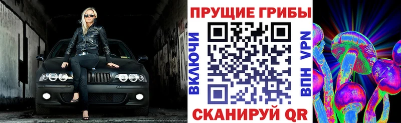 Псилоцибиновые грибы ЛСД  блэк спрут   Тара  наркошоп 